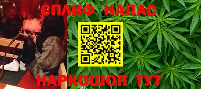 гидра Апрелевка