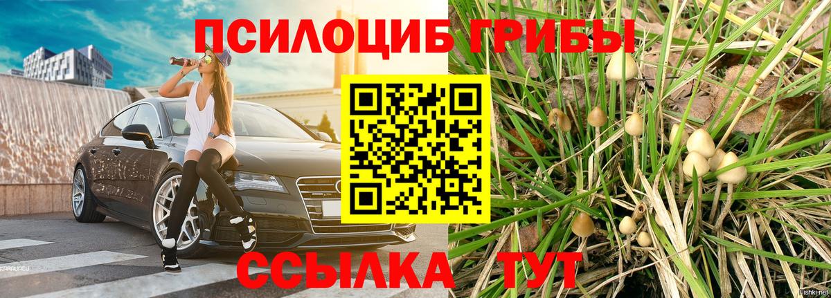 Псилоцибиновые грибы MAGIC MUSHROOMS  Вход с VPN  Богородск 